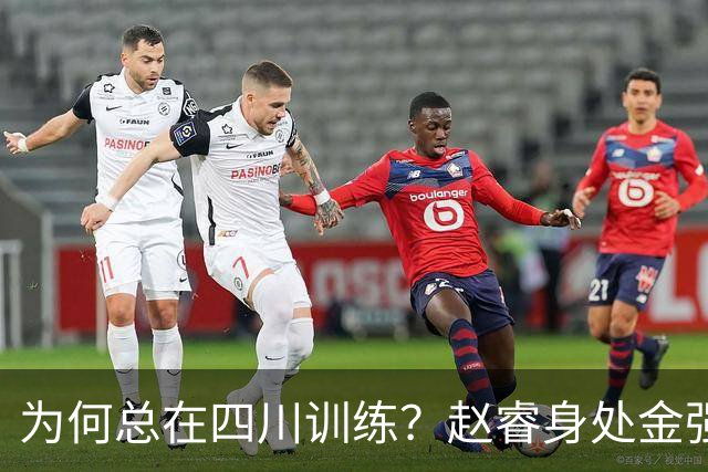 为何总在四川训练？赵睿身处金强苦练 他真娶了四川老婆？